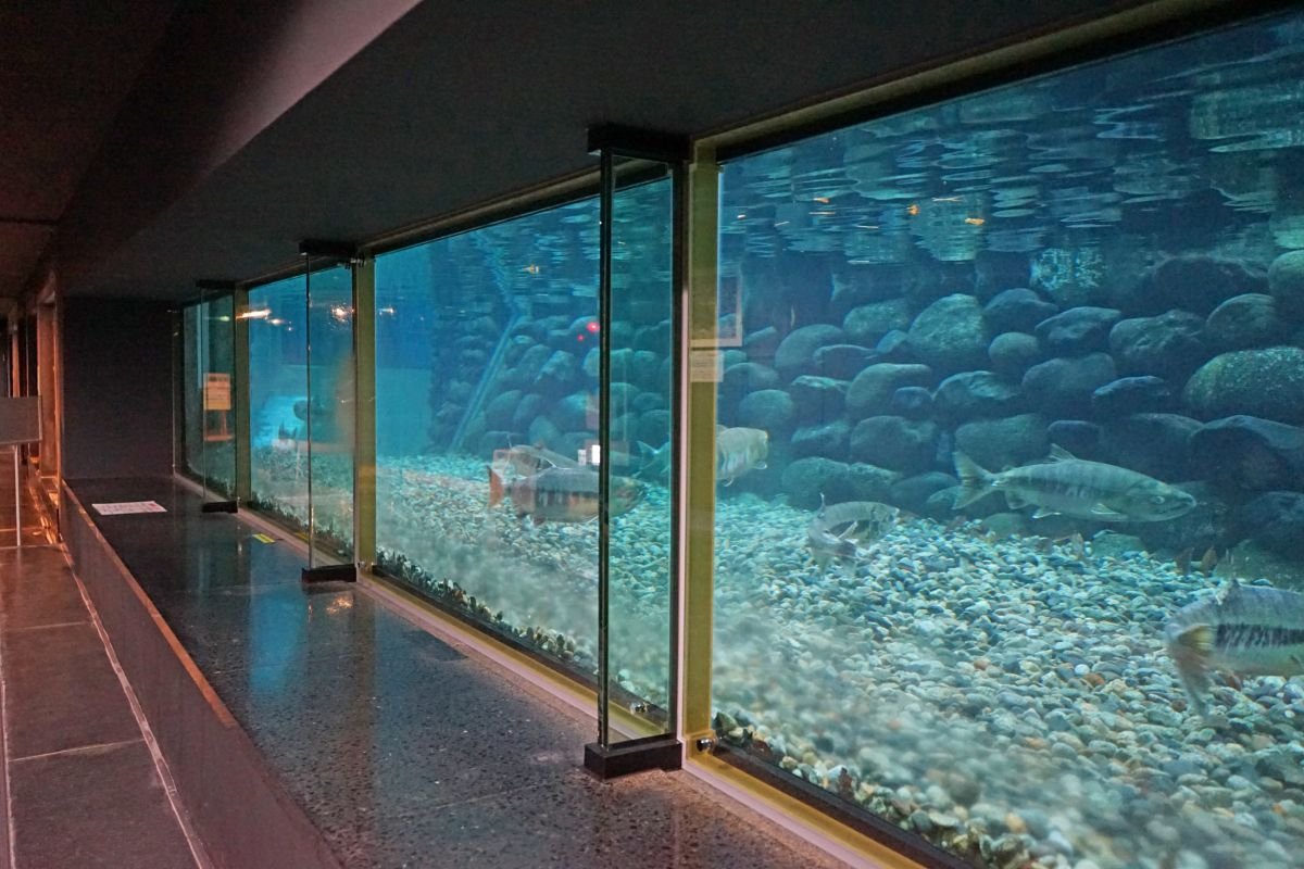 🏛️ 이요보야 회관